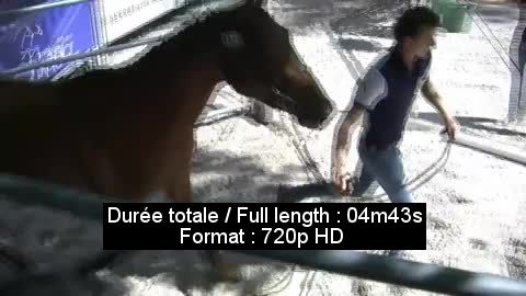 Vidéo 59813755