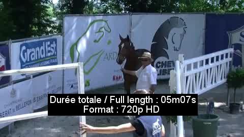 Vidéo 59801800