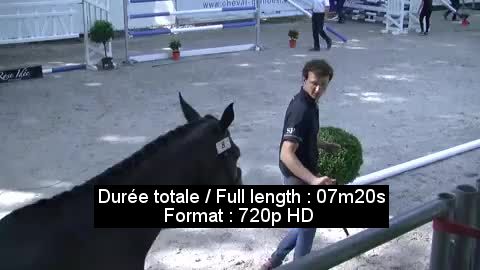 Vidéo 59826741