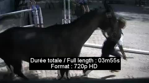 Vidéo 59802748